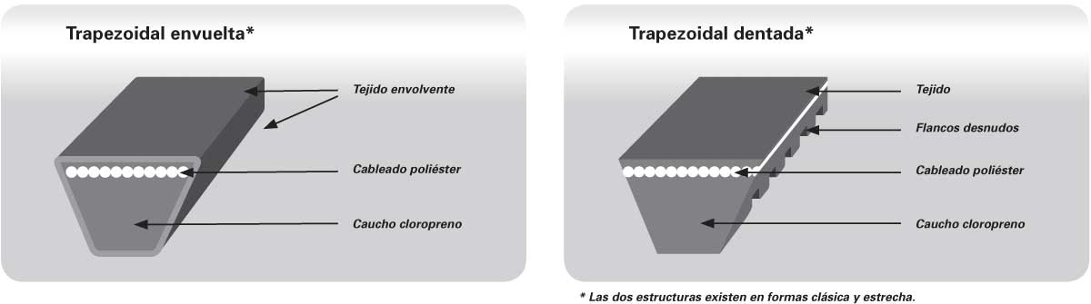 Imperialismo Consejos Progreso Correa trapezoidal | Hutchinson Transmission