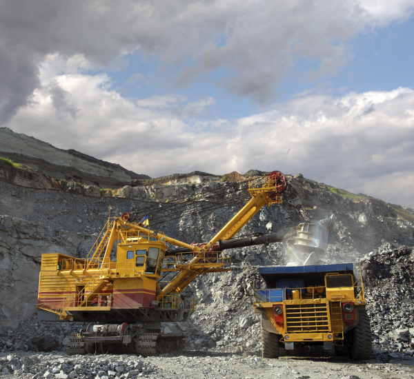 Vehicule Engine belt drive