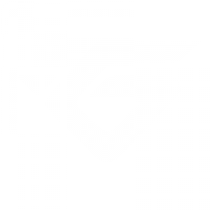 Formulario de Informaciones Técnicas