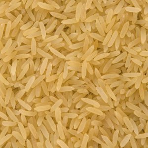 Trituradora en húmedo